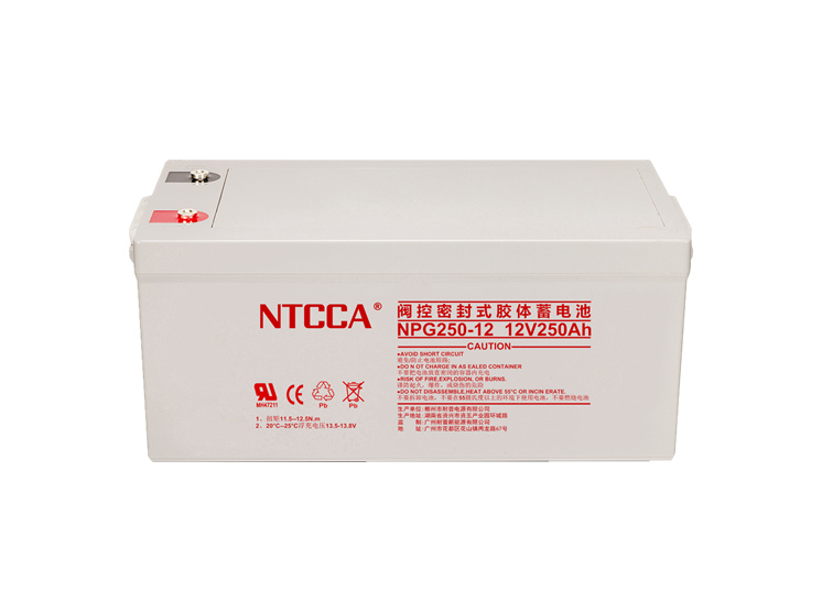 NTCCANPG250-12